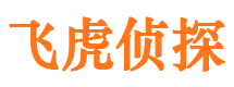 卢氏私家侦探